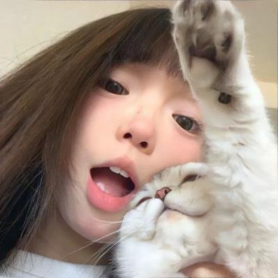 古今大战秦俑情封面