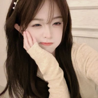 白鹭封面